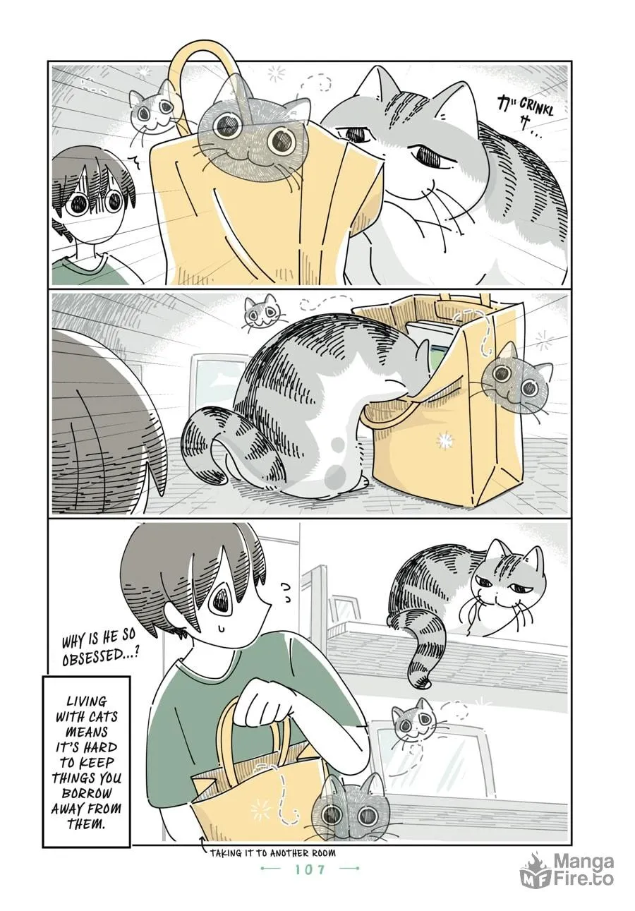 Nights With a Cat Chapter 30 page 3 - 
