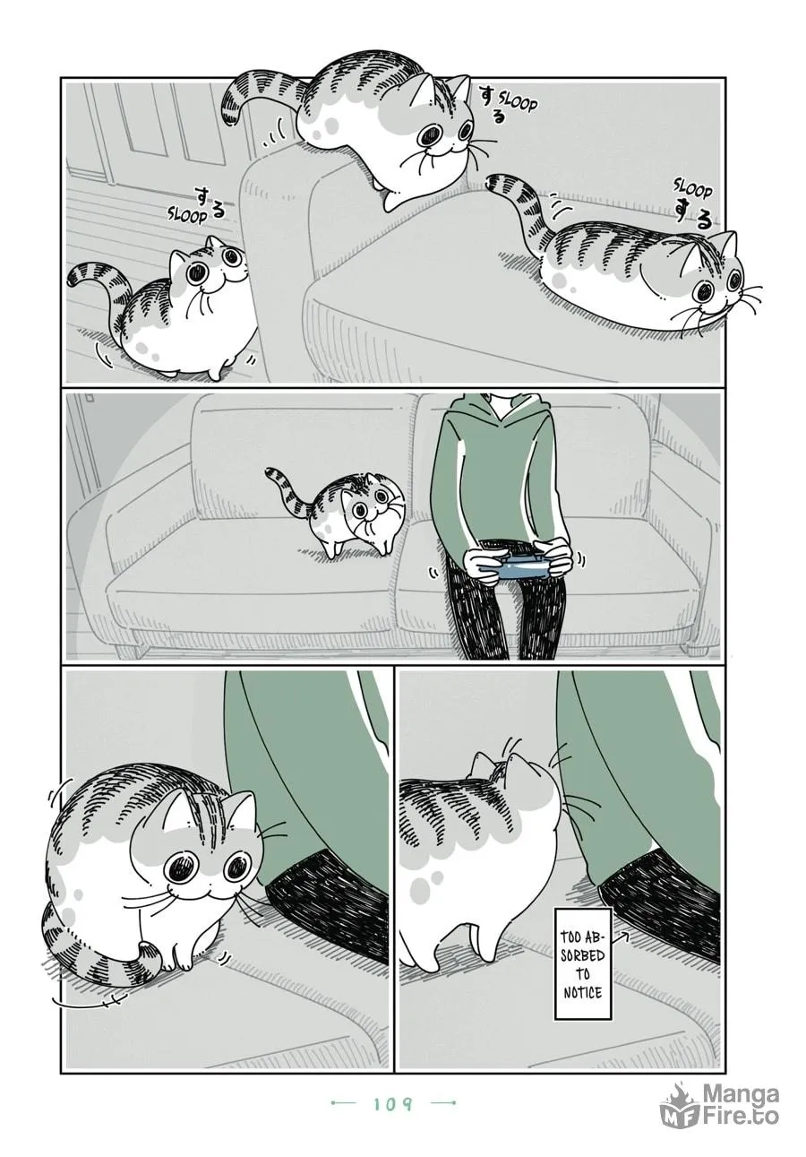 Nights With a Cat Chapter 30 page 5 - 