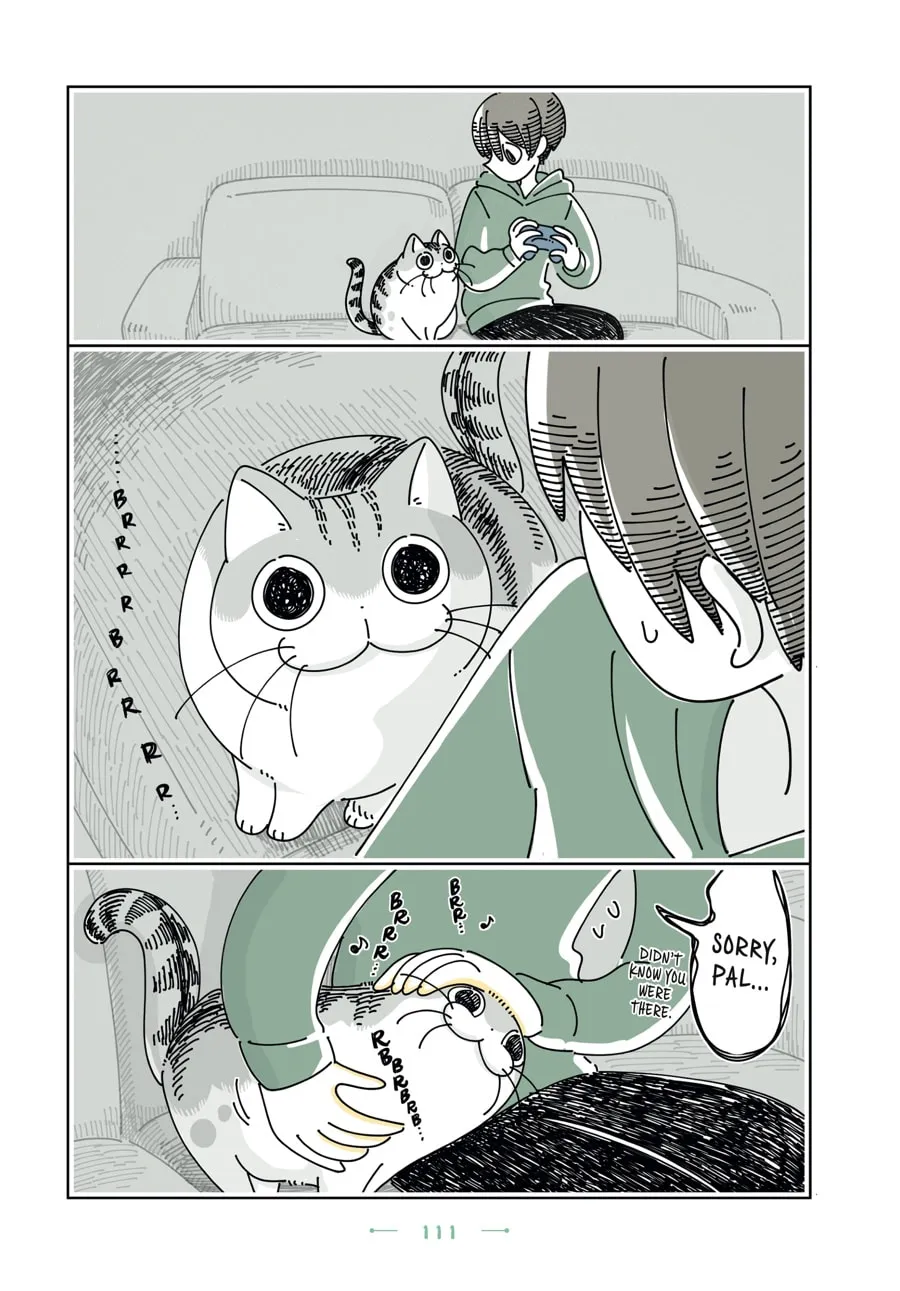 Nights With a Cat Chapter 30 page 7 - 