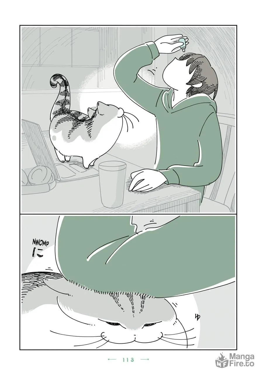Nights With a Cat Chapter 30 page 9 - 