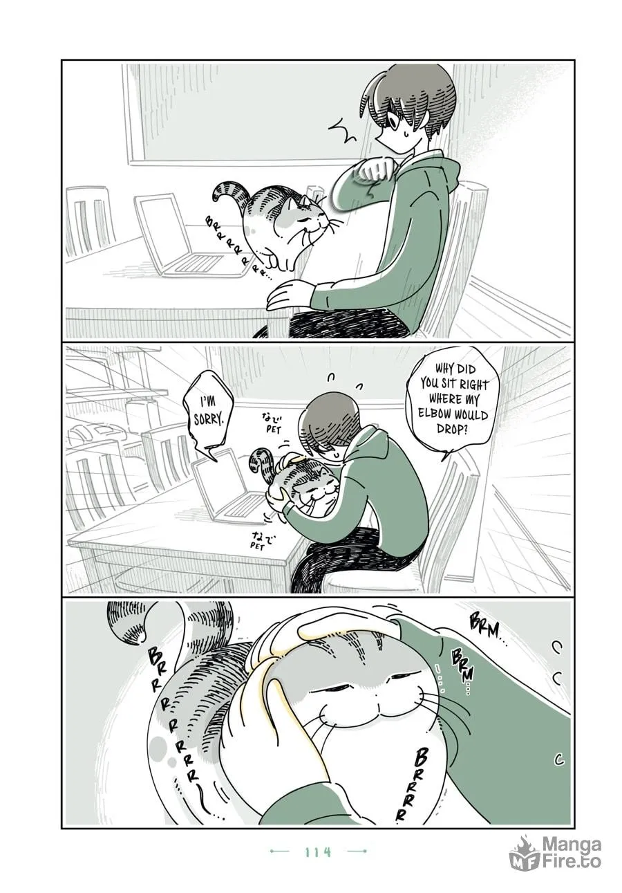 Nights With a Cat Chapter 30 page 10 - 