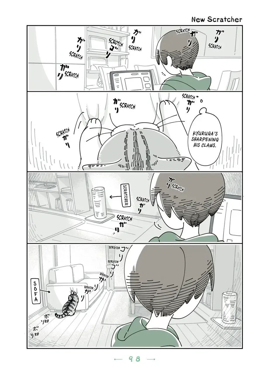 Nights With a Cat Chapter 31.1 page 1 - 