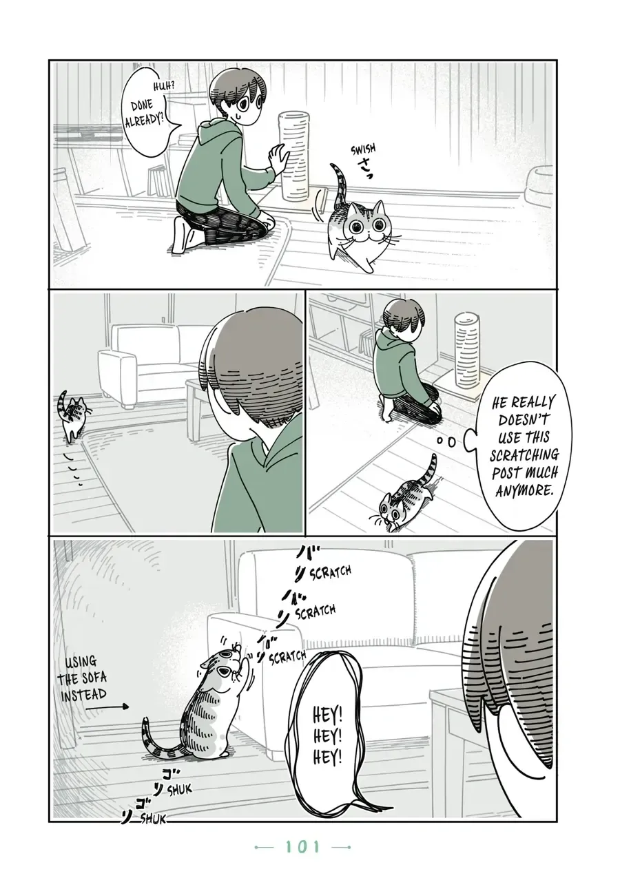 Nights With a Cat Chapter 31.1 page 4 - 