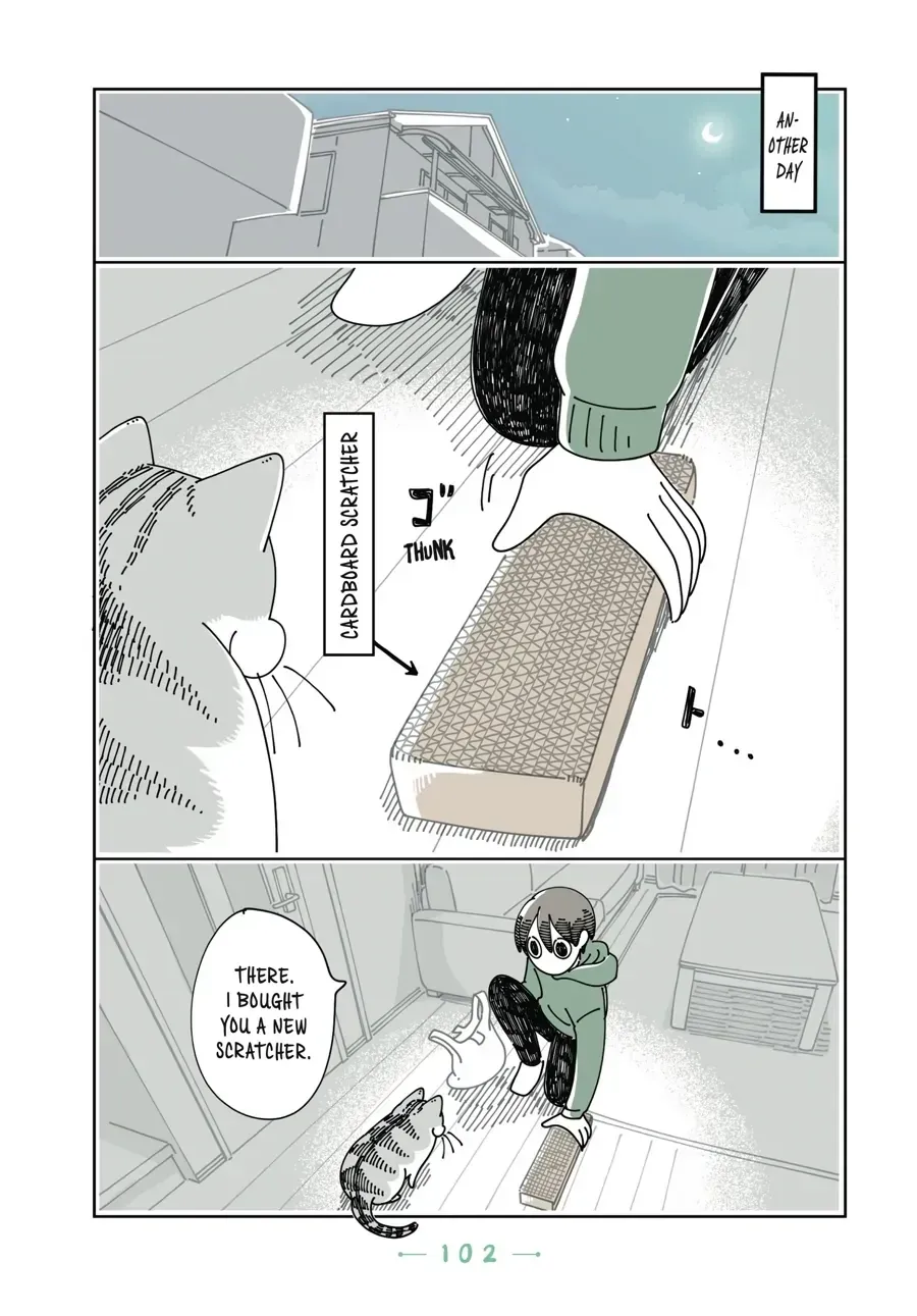 Nights With a Cat Chapter 31.1 page 5 - 