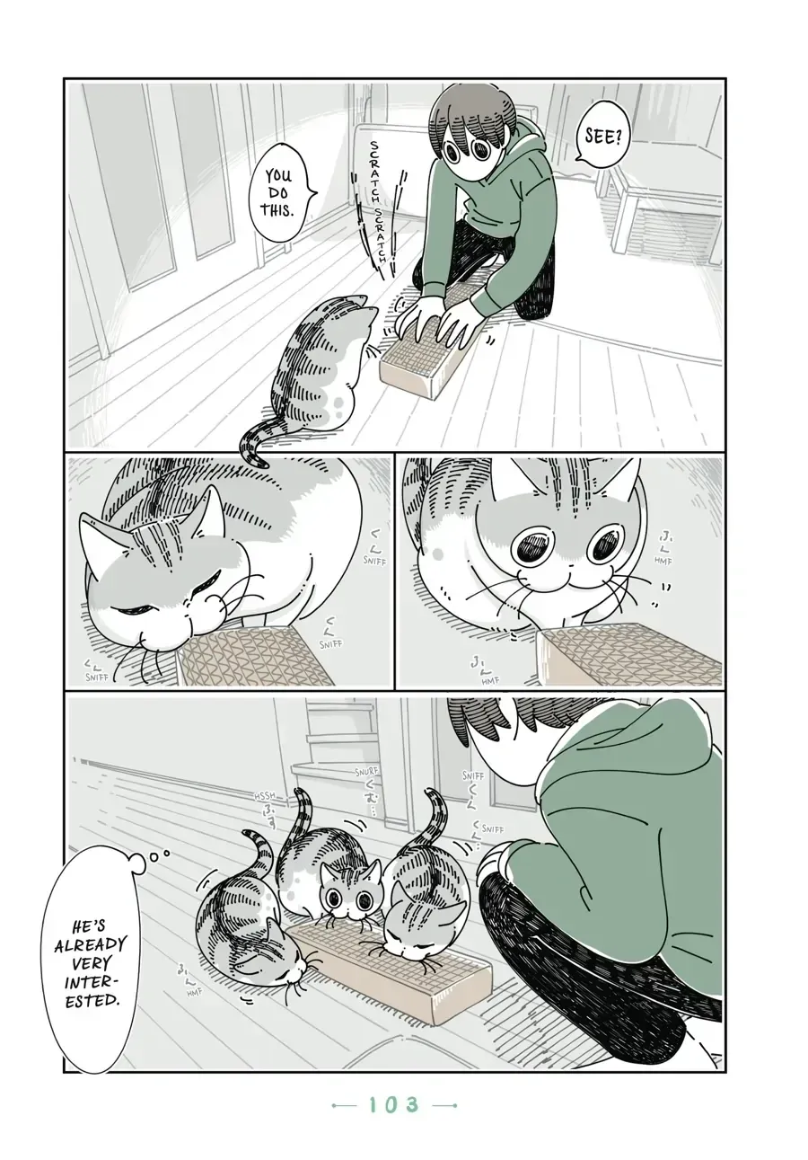 Nights With a Cat Chapter 31.1 page 6 - 