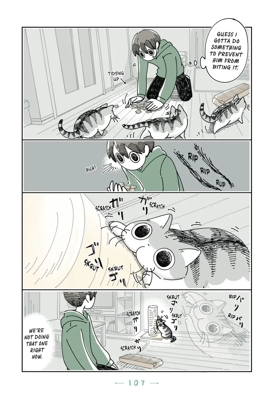 Nights With a Cat Chapter 31.1 page 10 - 