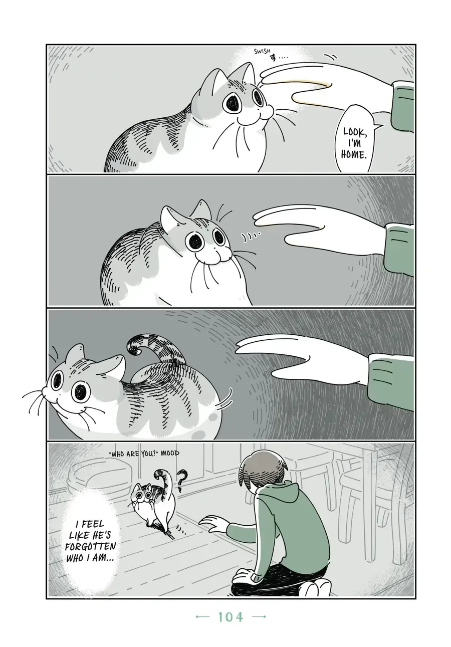 Nights With a Cat Chapter 31 page 3 - 