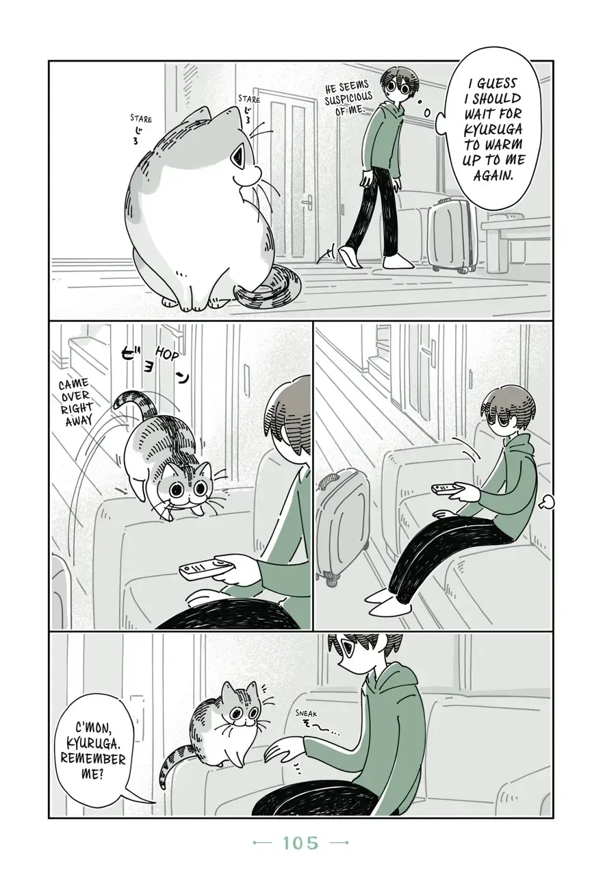 Nights With a Cat Chapter 31 page 4 - 