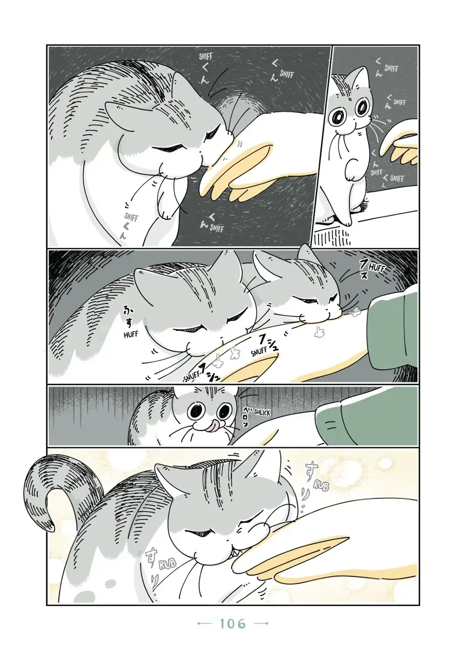 Nights With a Cat Chapter 31 page 5 - 