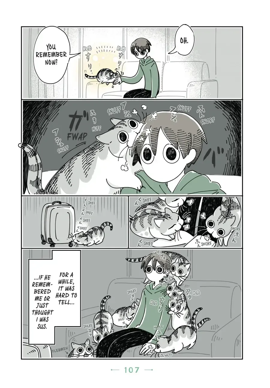 Nights With a Cat Chapter 31 page 6 - 
