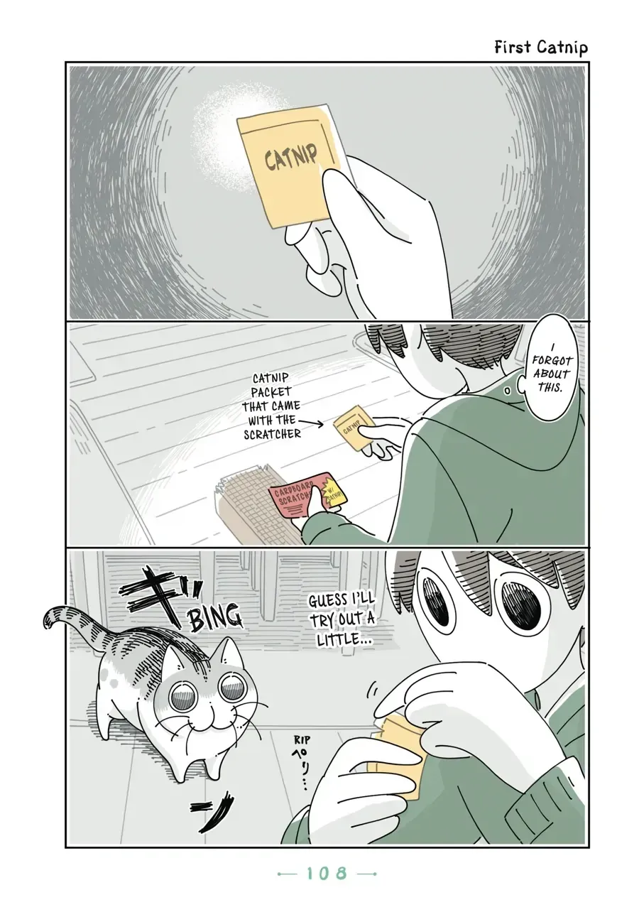 Nights With a Cat Chapter 32.1 page 1 - 