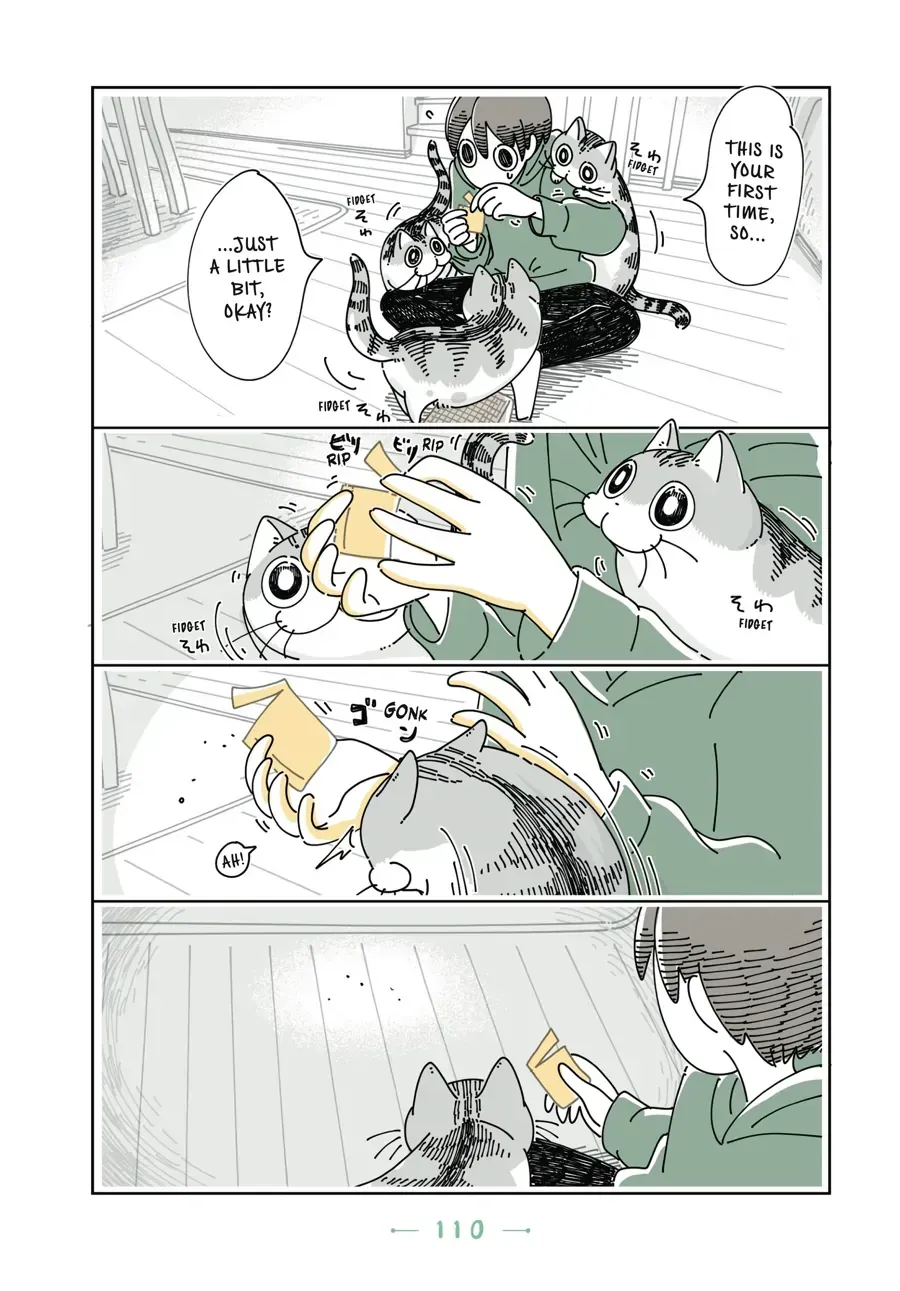 Nights With a Cat Chapter 32.1 page 3 - 