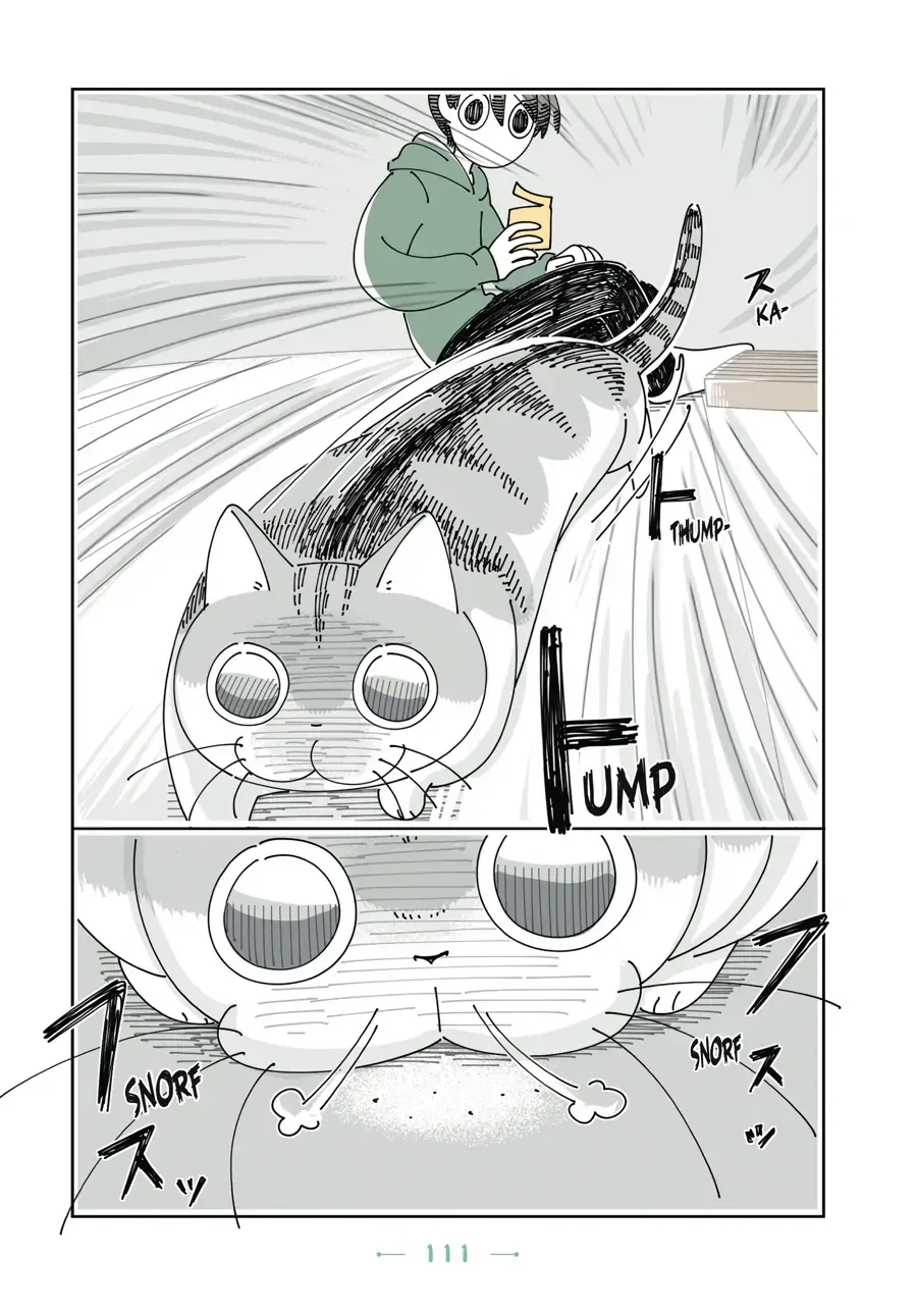 Nights With a Cat Chapter 32.1 page 4 - 
