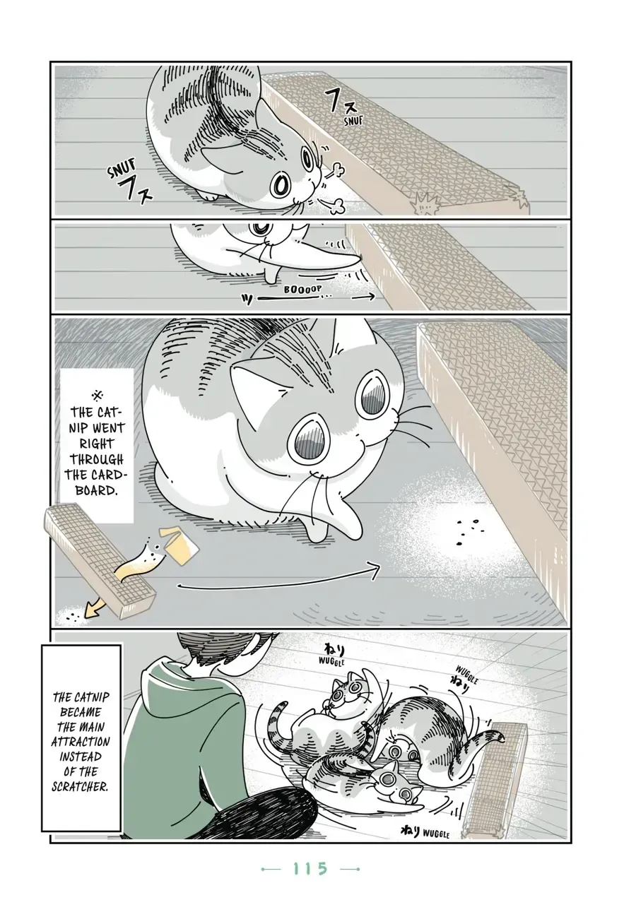 Nights With a Cat Chapter 32.1 page 8 - 