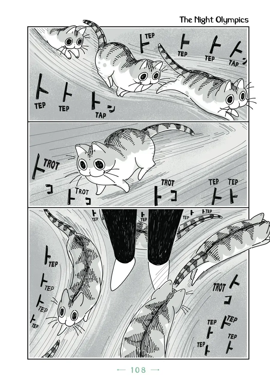 Nights With a Cat Chapter 32 page 1 - 