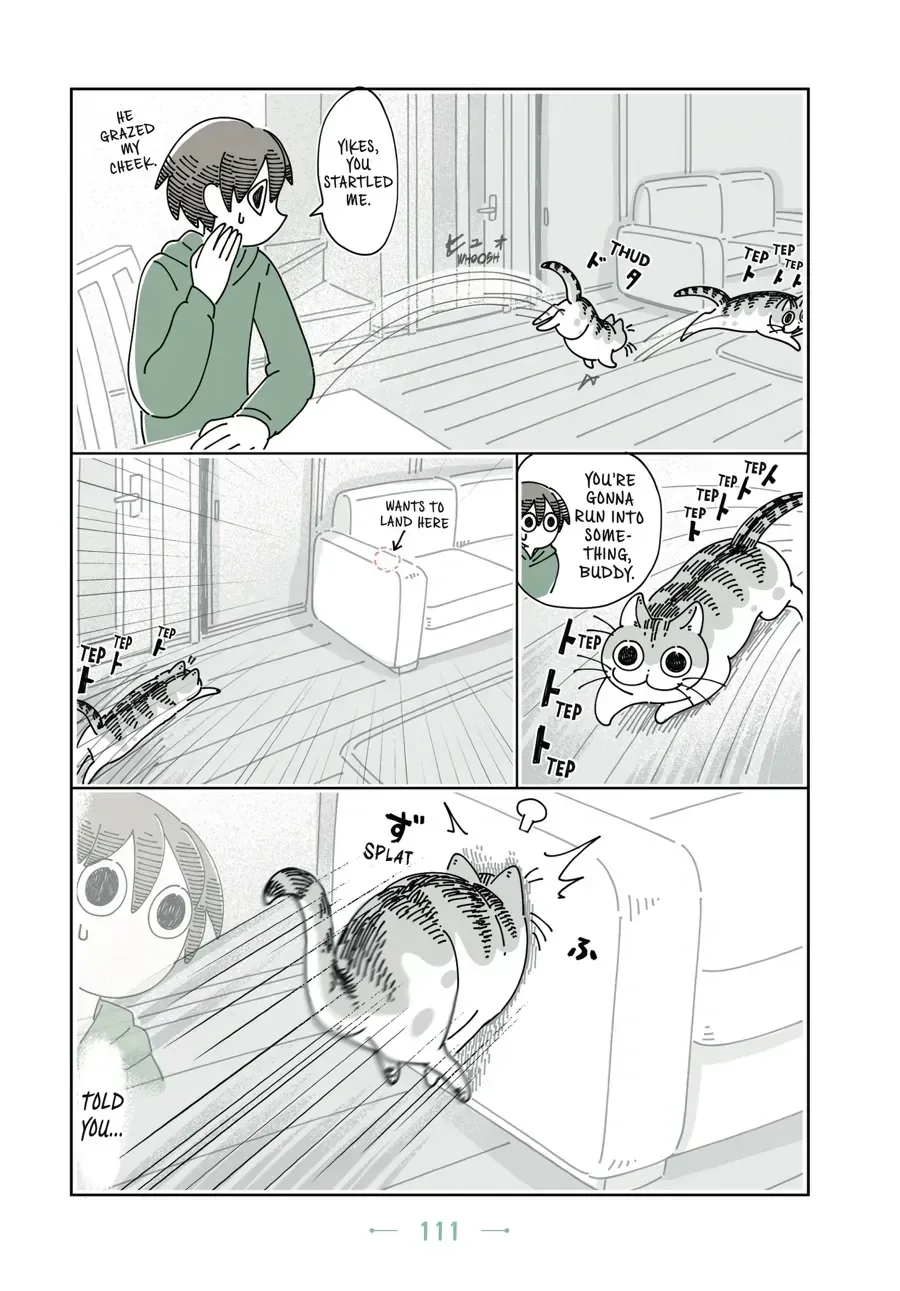 Nights With a Cat Chapter 32 page 4 - 