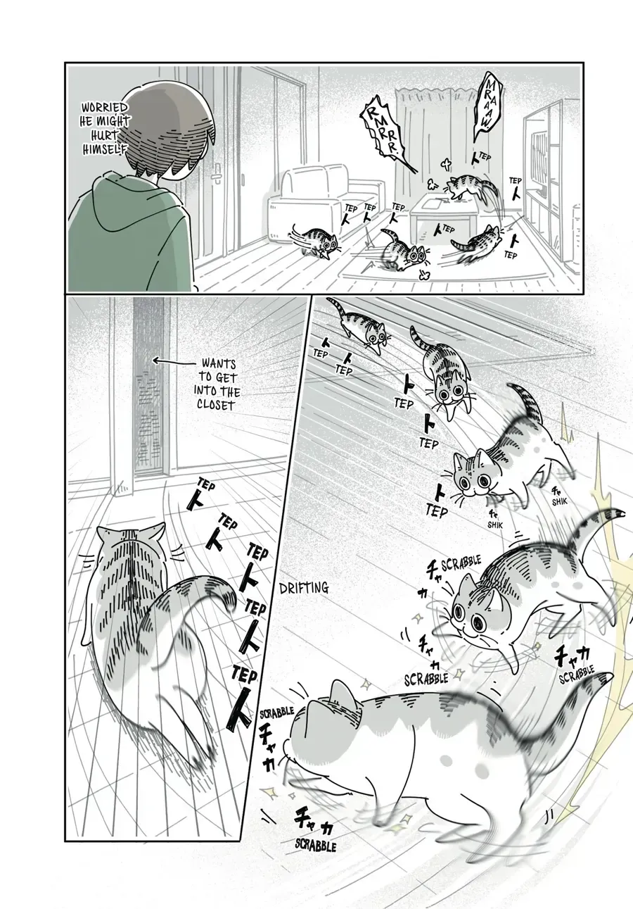 Nights With a Cat Chapter 32 page 5 - 
