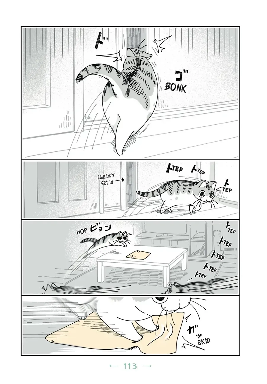 Nights With a Cat Chapter 32 page 6 - 
