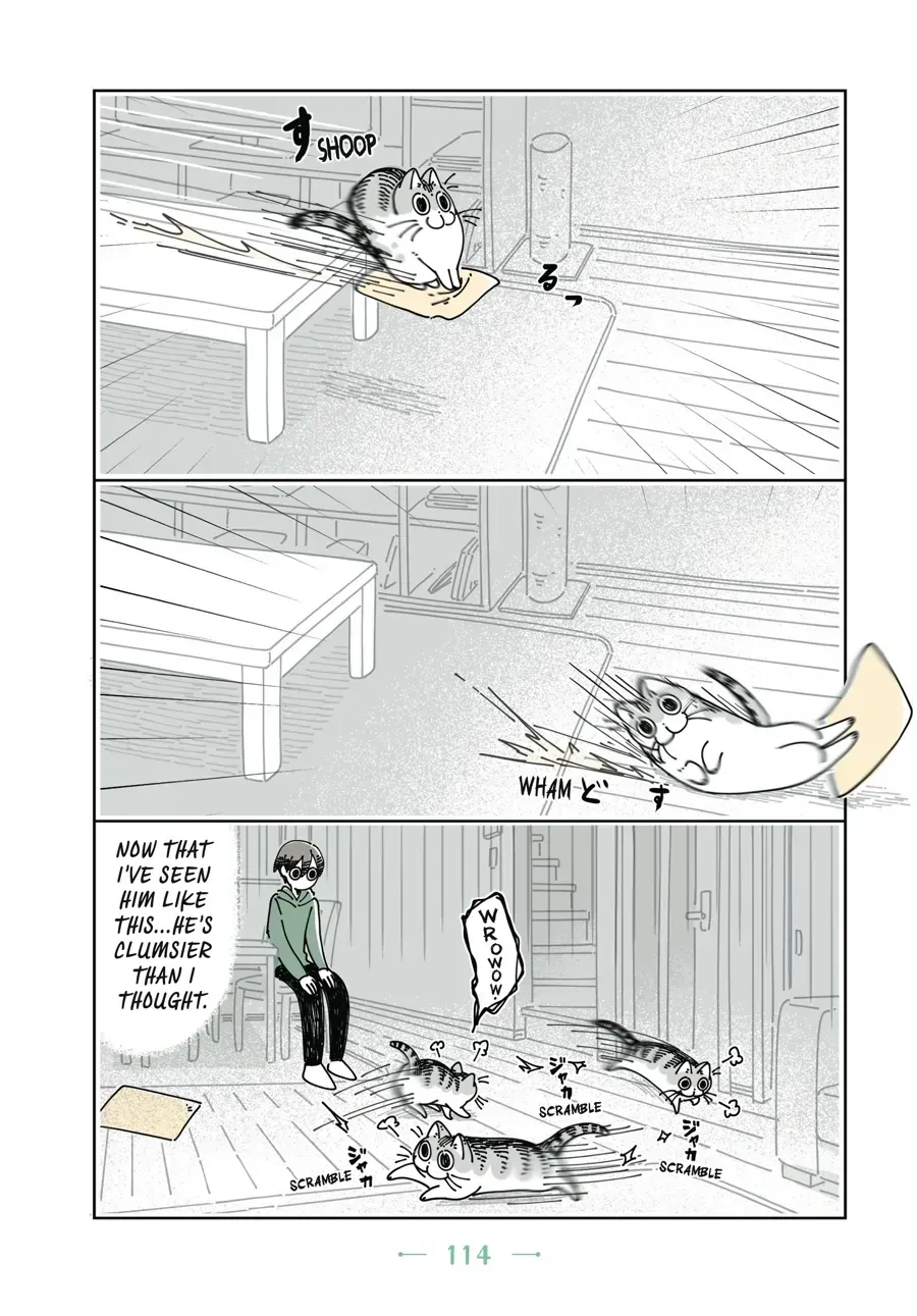 Nights With a Cat Chapter 32 page 7 - 