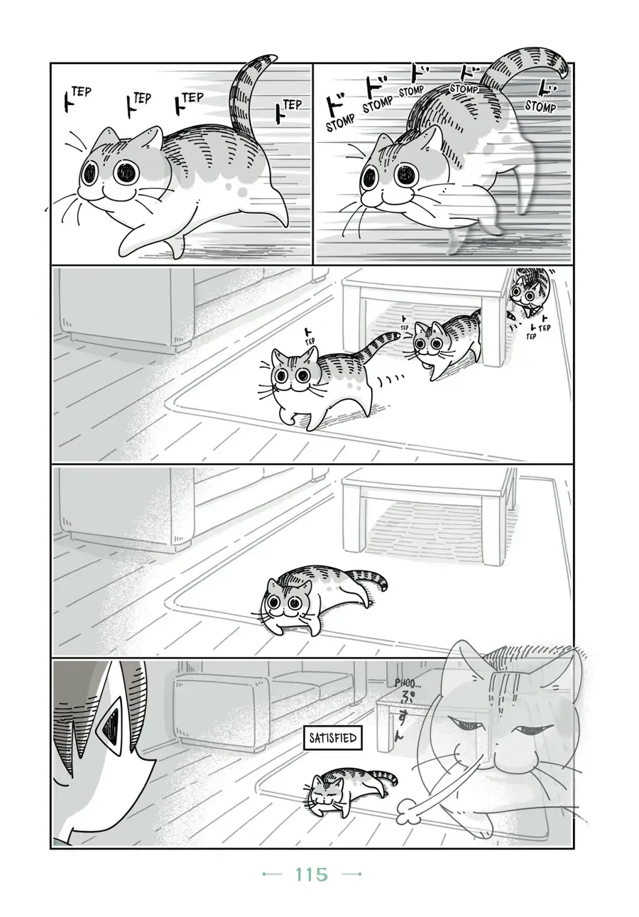 Nights With a Cat Chapter 32 page 8 - 