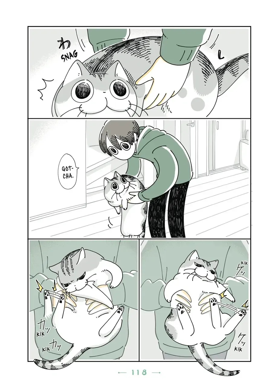Nights With a Cat Chapter 33.1 page 3 - 
