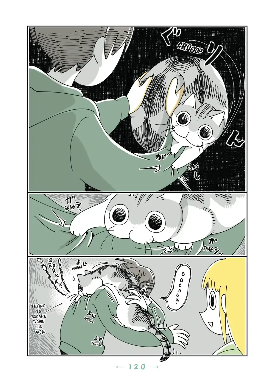 Nights With a Cat Chapter 33.1 page 5 - 