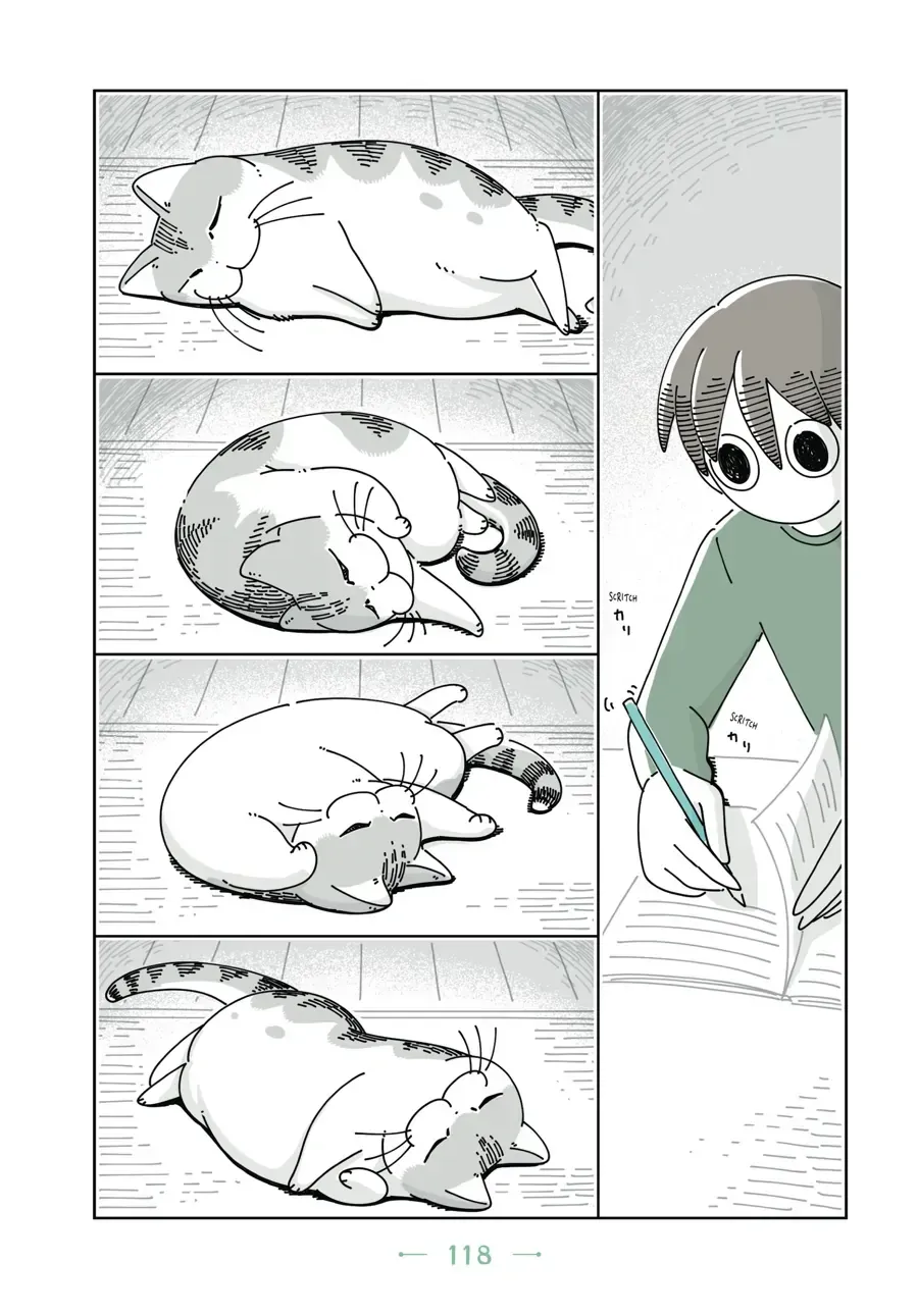 Nights With a Cat Chapter 33 page 2 - 