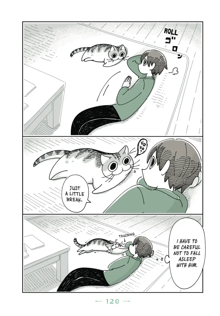 Nights With a Cat Chapter 33 page 4 - 