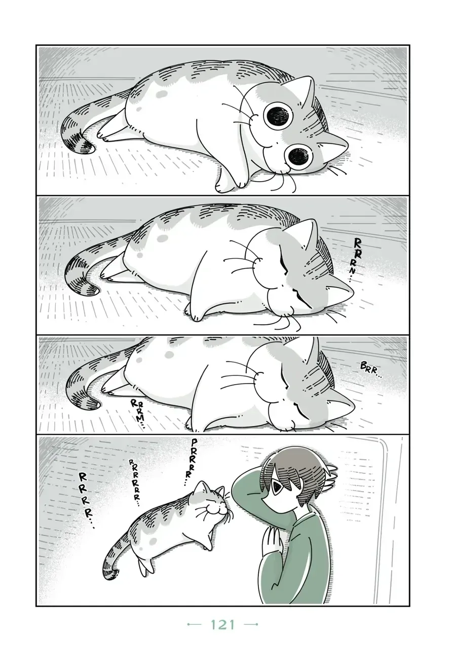 Nights With a Cat Chapter 33 page 5 - 
