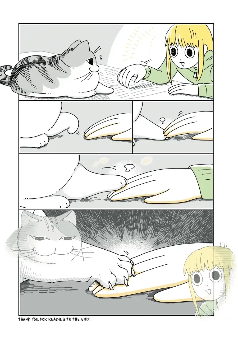 Nights With a Cat Chapter 34 page 2 - 