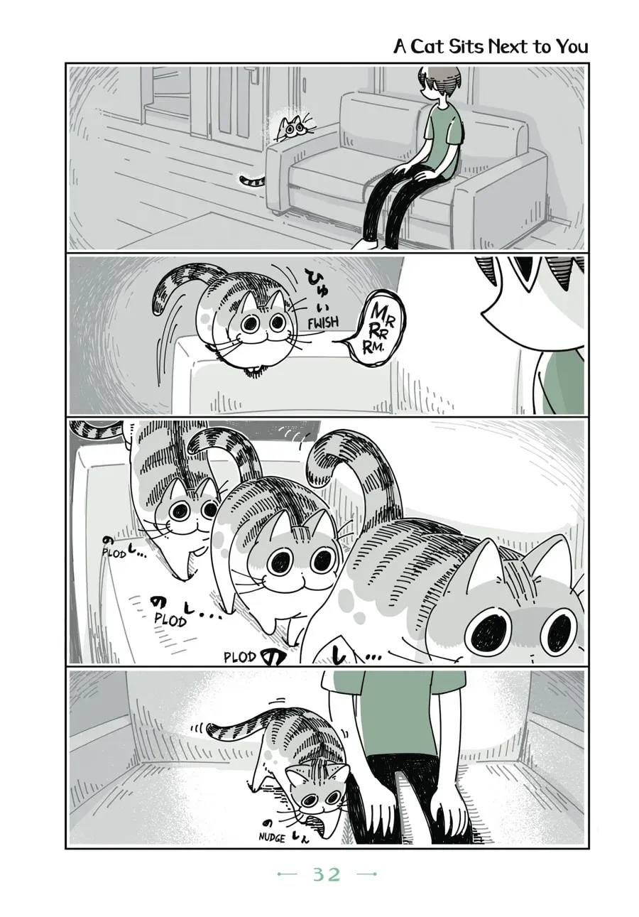 Nights With a Cat Chapter 35 page 1 - 