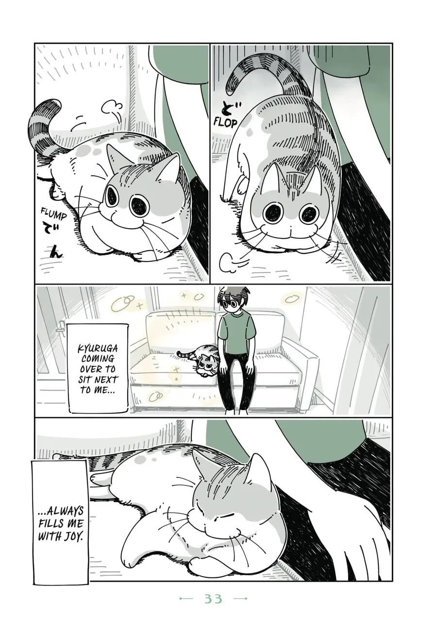 Nights With a Cat Chapter 35 page 2 - 