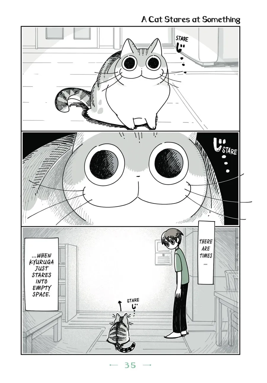 Nights With a Cat Chapter 36 page 1 - 