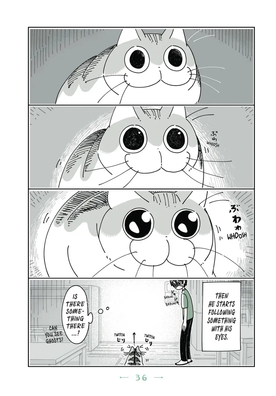 Nights With a Cat Chapter 36 page 2 - 
