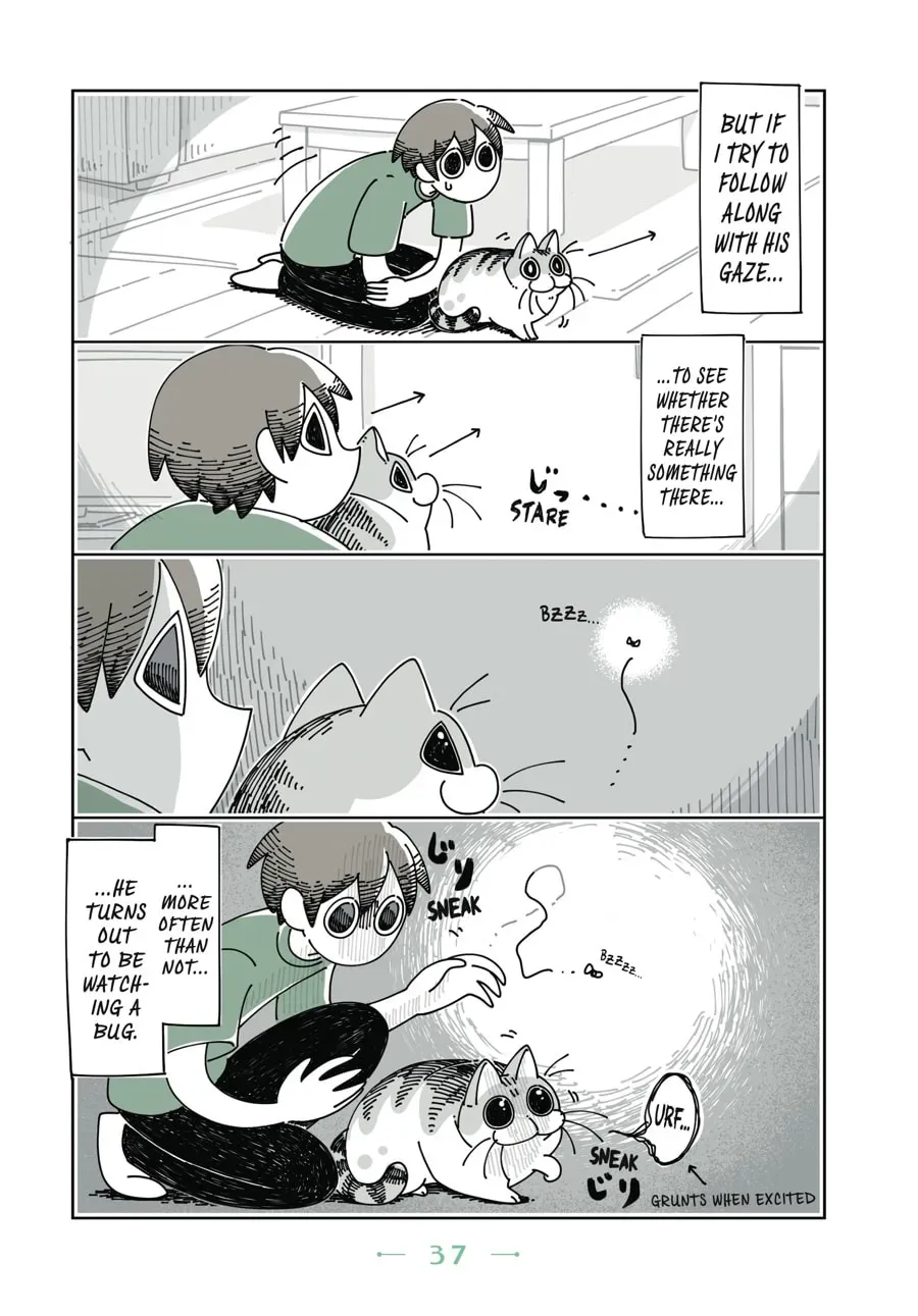 Nights With a Cat Chapter 36 page 3 - 