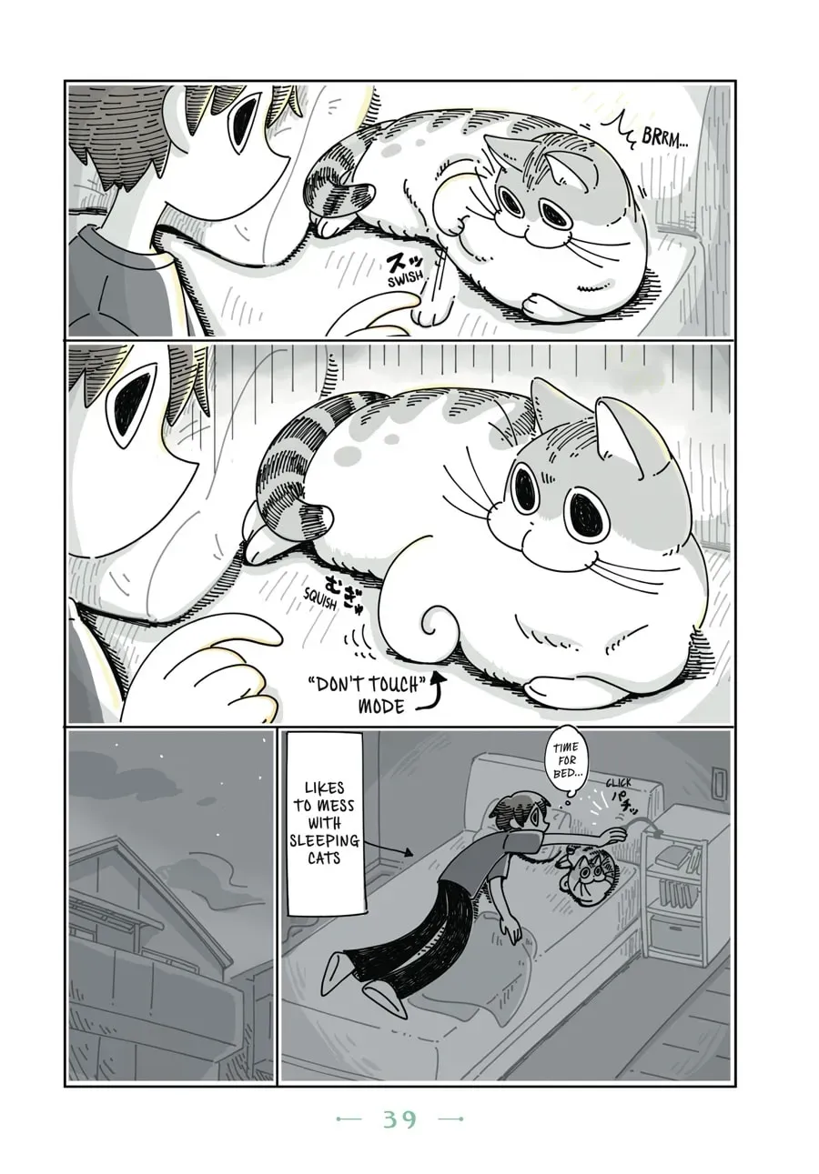 Nights With a Cat Chapter 37 page 2 - 