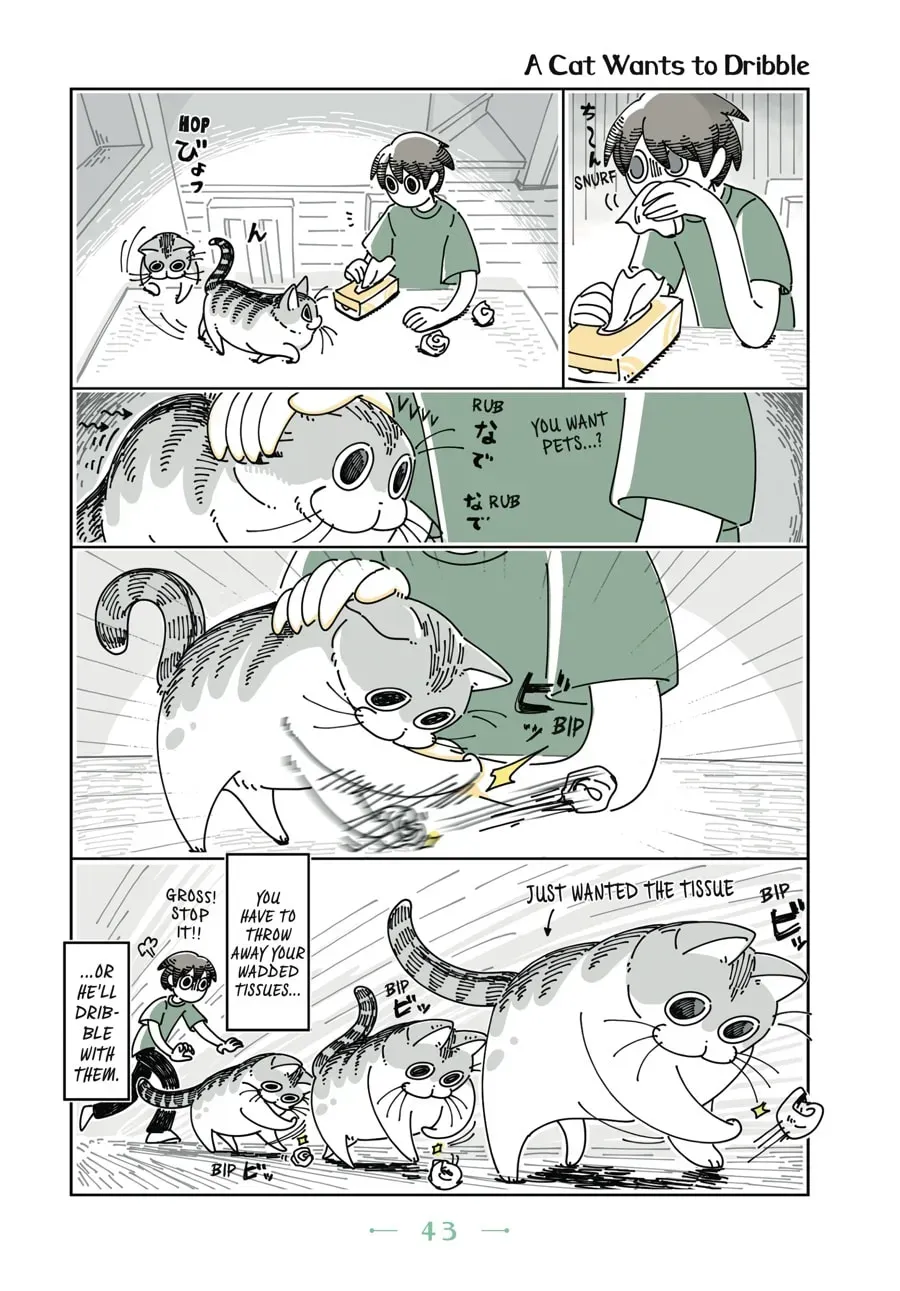Nights With a Cat Chapter 39 page 1 - 