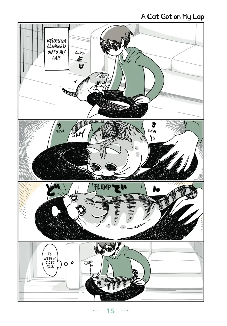 Nights With a Cat Chapter 4.1 page 1 - 