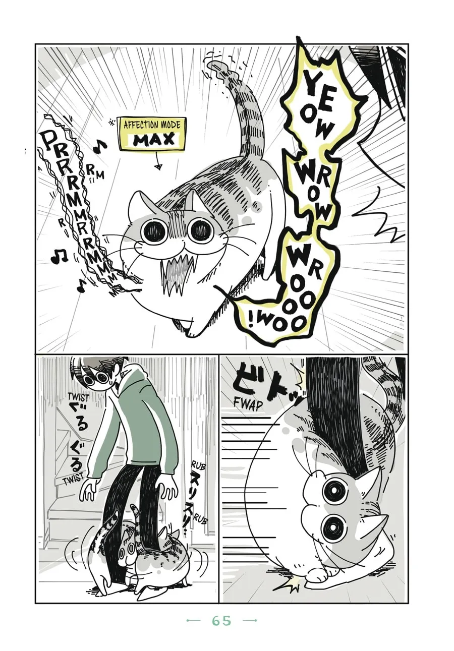 Nights With a Cat Chapter 4 page 2 - 