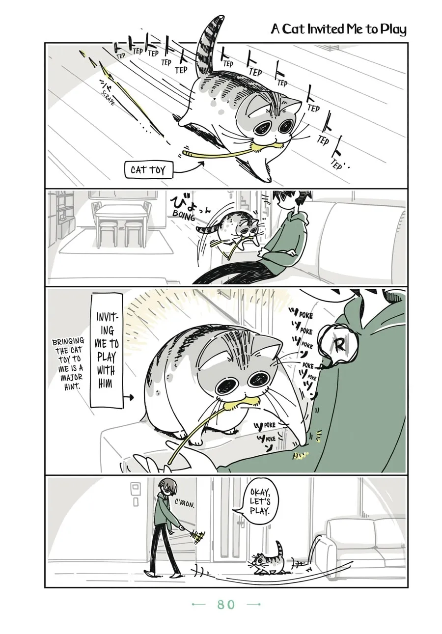 Nights With a Cat Chapter 4 page 17 - 