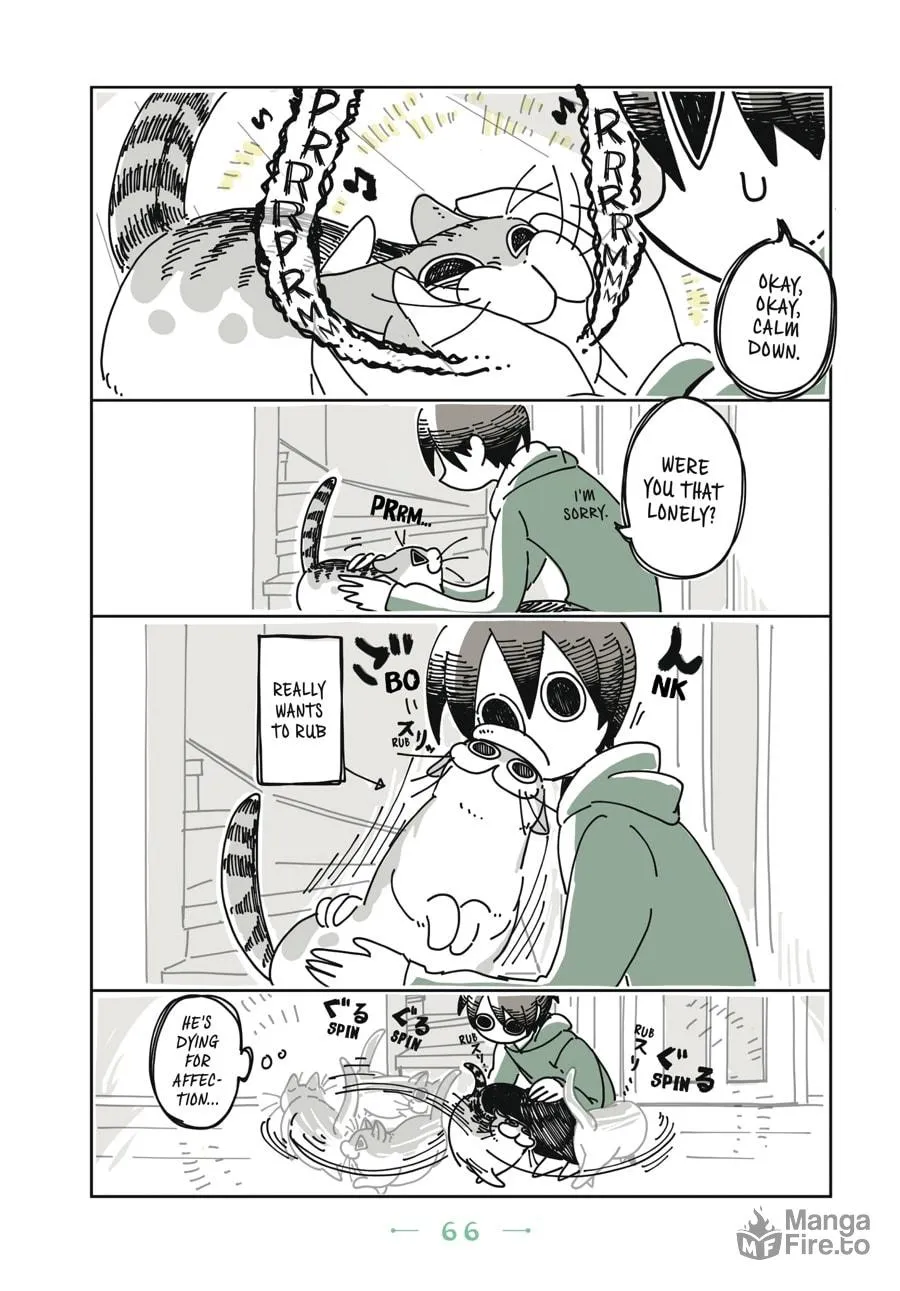 Nights With a Cat Chapter 4 page 3 - 