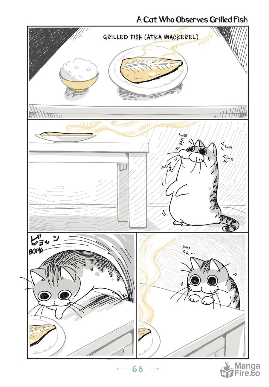 Nights With a Cat Chapter 4 page 5 - 