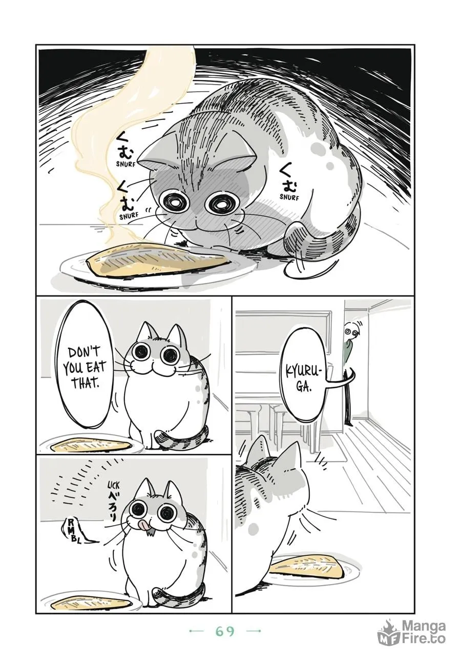 Nights With a Cat Chapter 4 page 6 - 