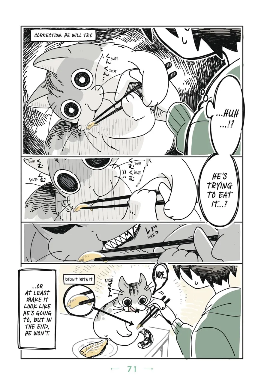 Nights With a Cat Chapter 4 page 8 - 