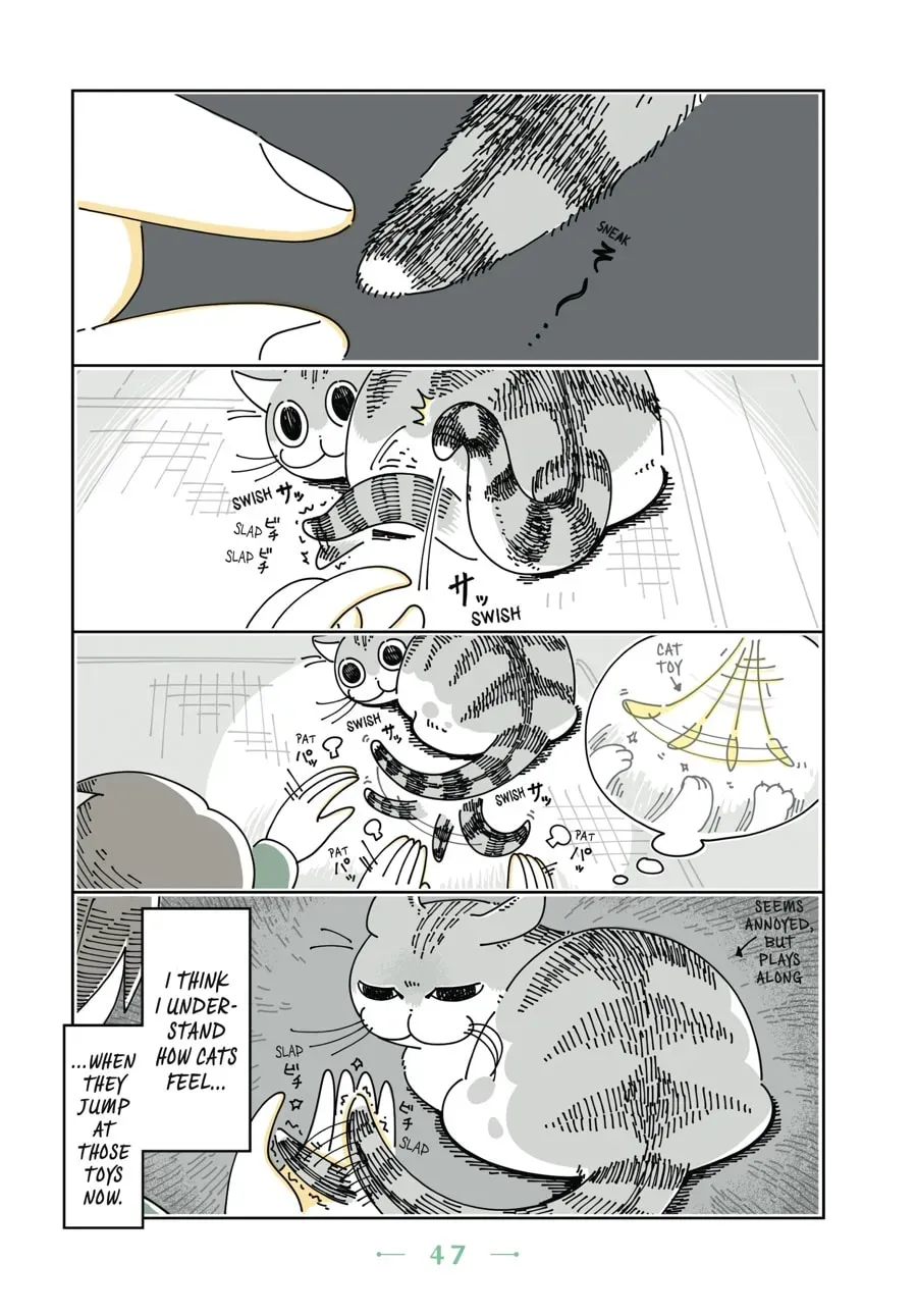 Nights With a Cat Chapter 41 page 2 - 