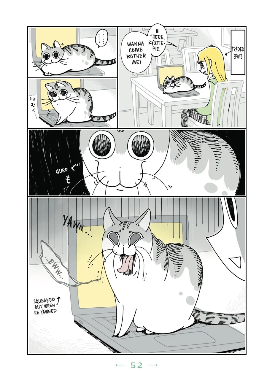 Nights With a Cat Chapter 43 page 2 - 