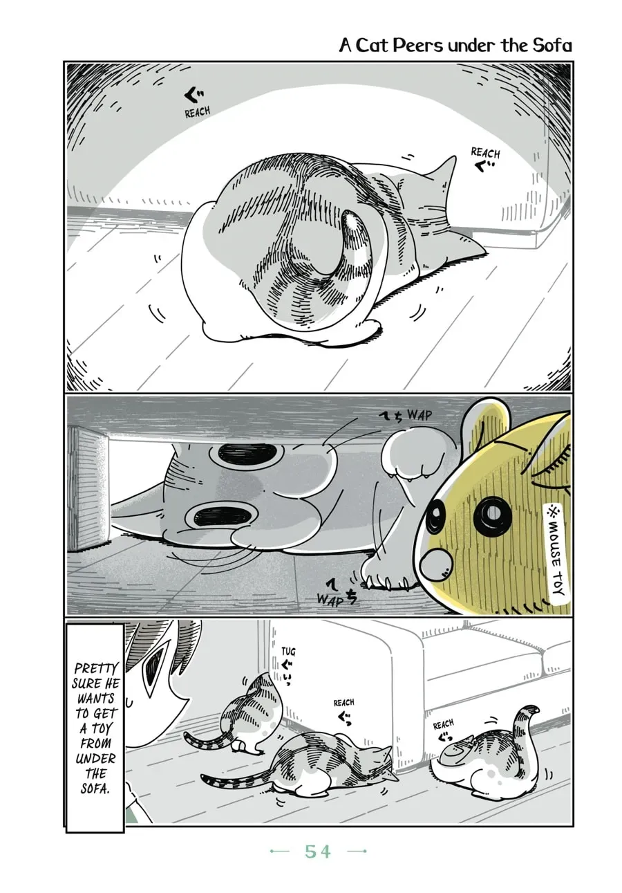 Nights With a Cat Chapter 44 page 1 - 