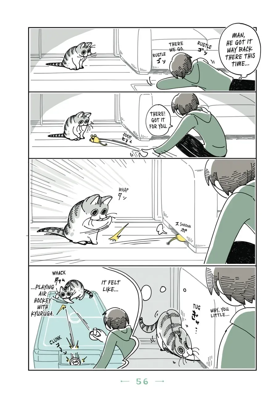 Nights With a Cat Chapter 44 page 3 - 