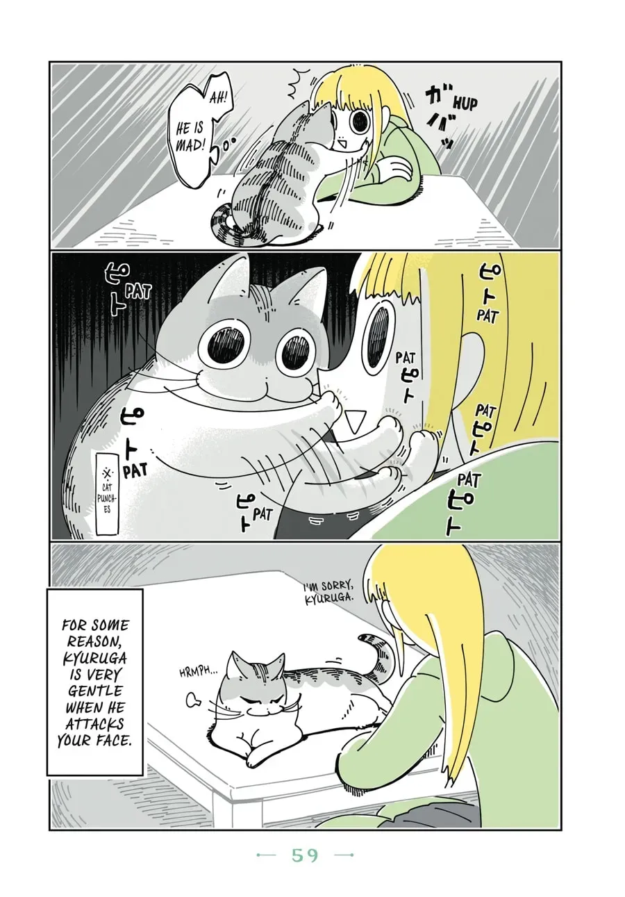 Nights With a Cat Chapter 45 page 3 - 