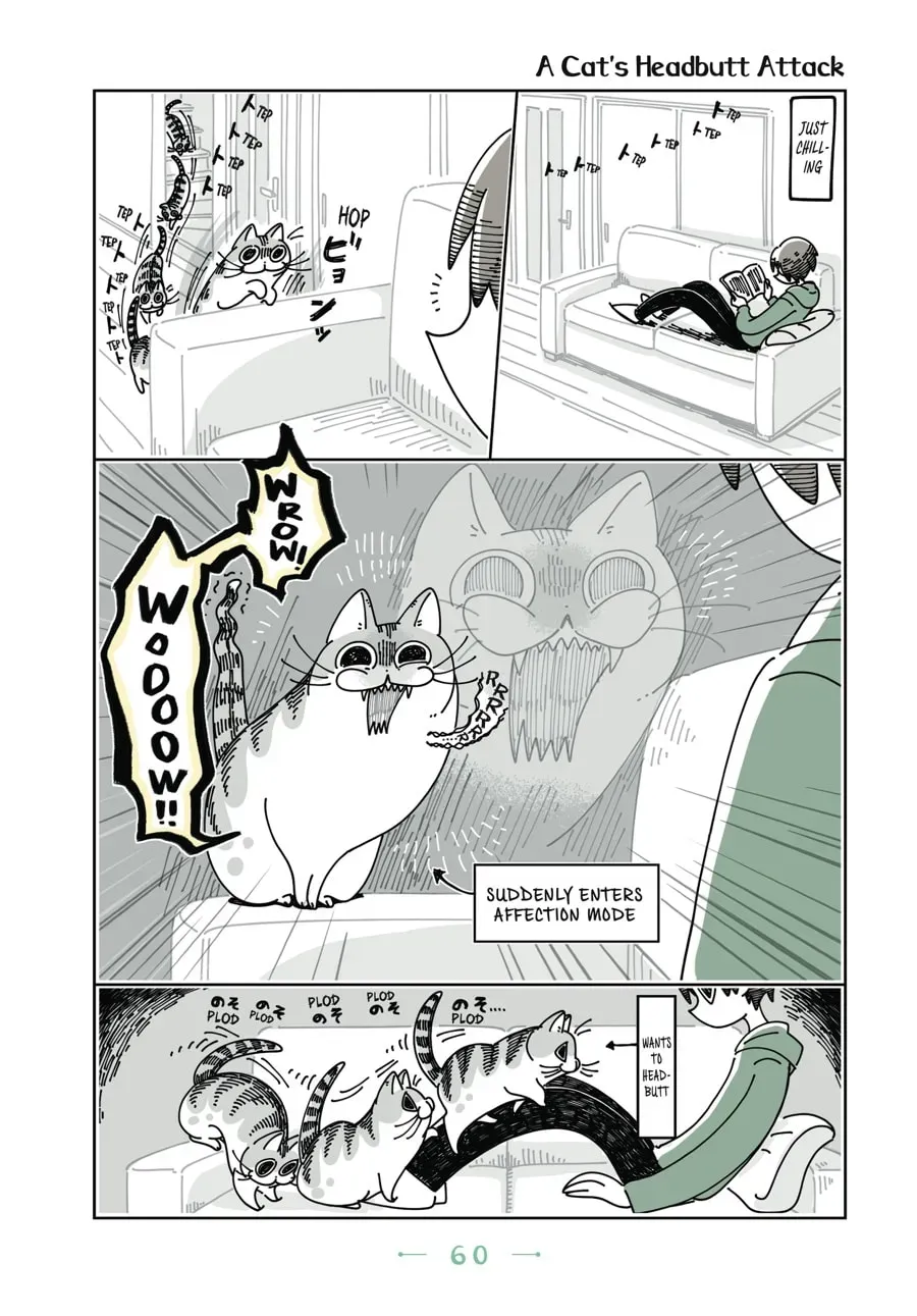 Nights With a Cat Chapter 46 page 1 - 